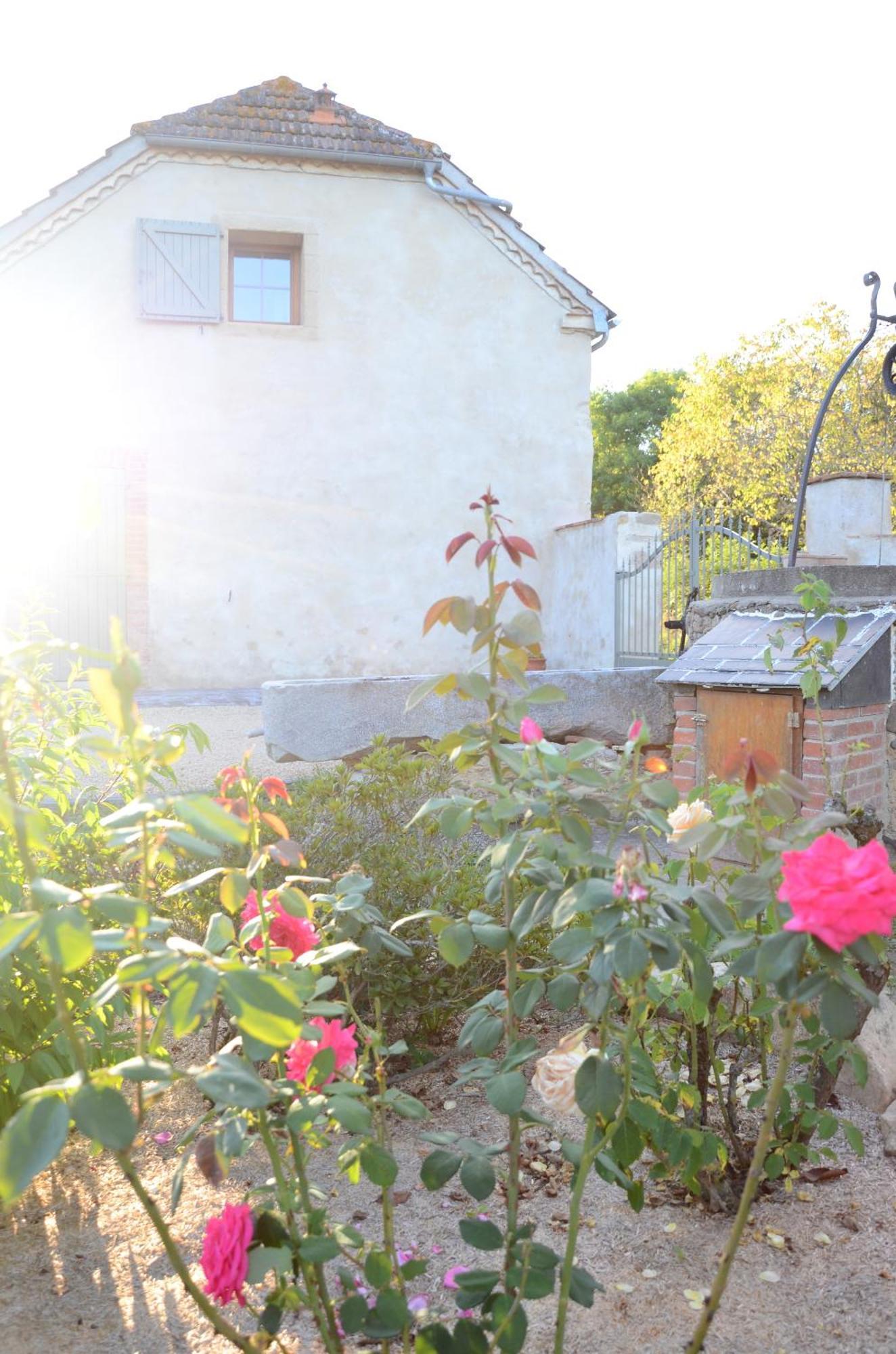 Ecogite Rural La Cle Des Champs Peyrelongue-Abos Room photo